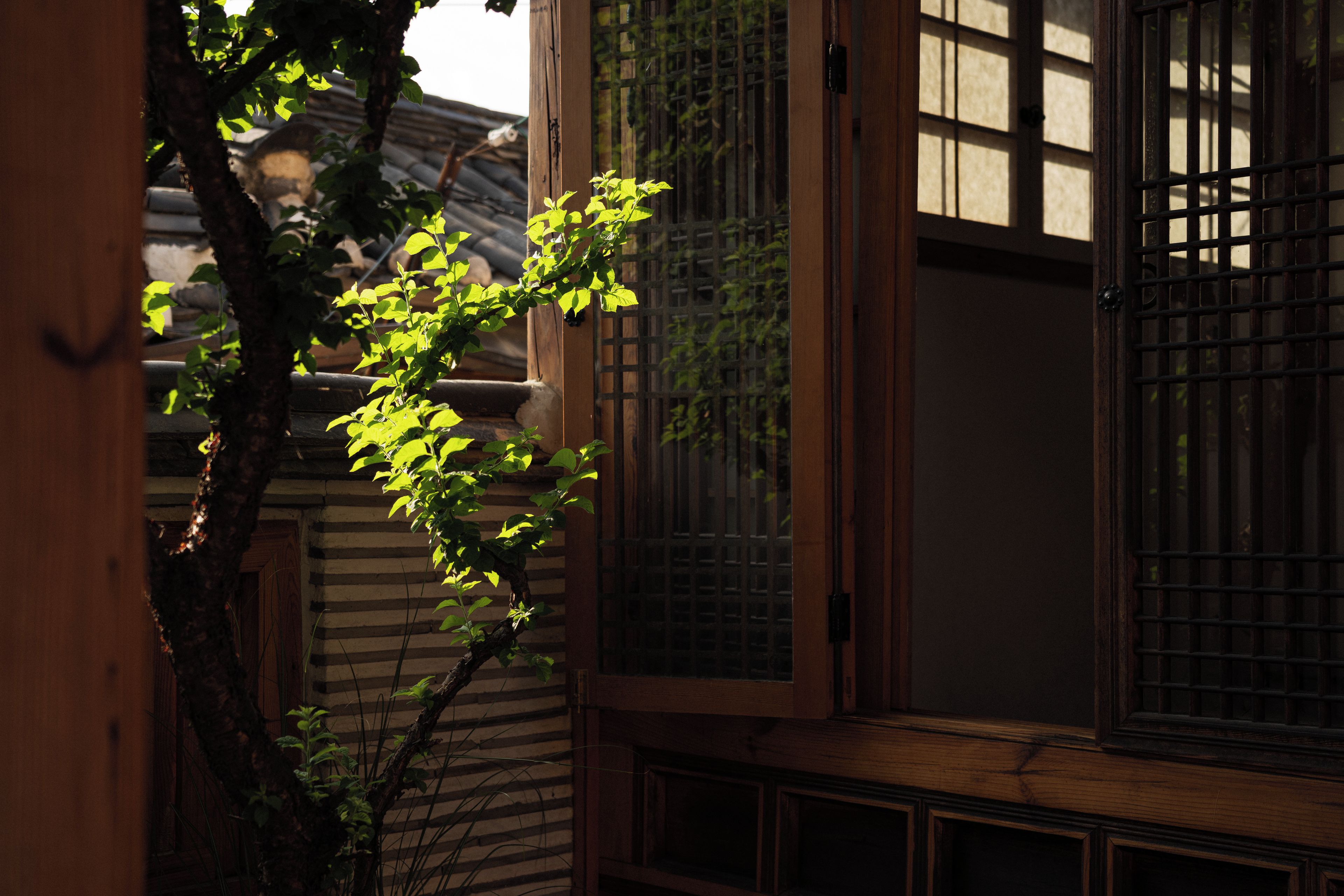 花園
