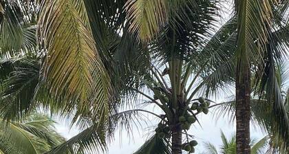 SJD Sagana Resort