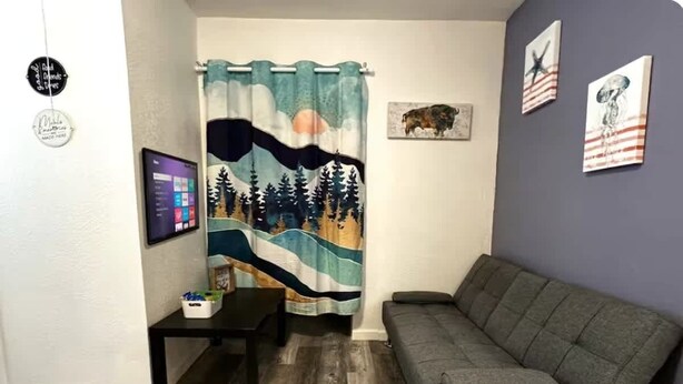 Ein Wohnzimmer mit grauem Sofa, einem kleinen Tisch, einem Fernseher und einem Vorhang mit einer Naturansicht.