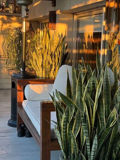 Luxury penthouse in Punta Carretas with a large terrace and a two-person hot tub