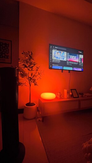 Huoneessa on seinälle asennettu televisio, jossa näkyy musiikkivideo, ruukussa oleva kasvi ja pieni pöytä, jossa on lamppu.