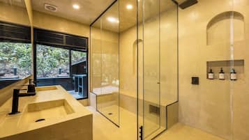 Shower, hair dryer, shampoo