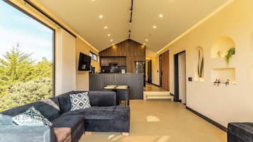 TV, fireplace, offices