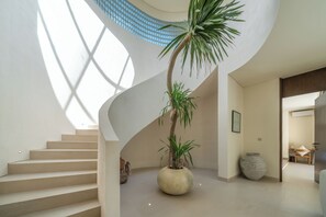 Ein modernes Interieur mit Wendeltreppe, einer großen Topfpflanze und minimalistischem Design.