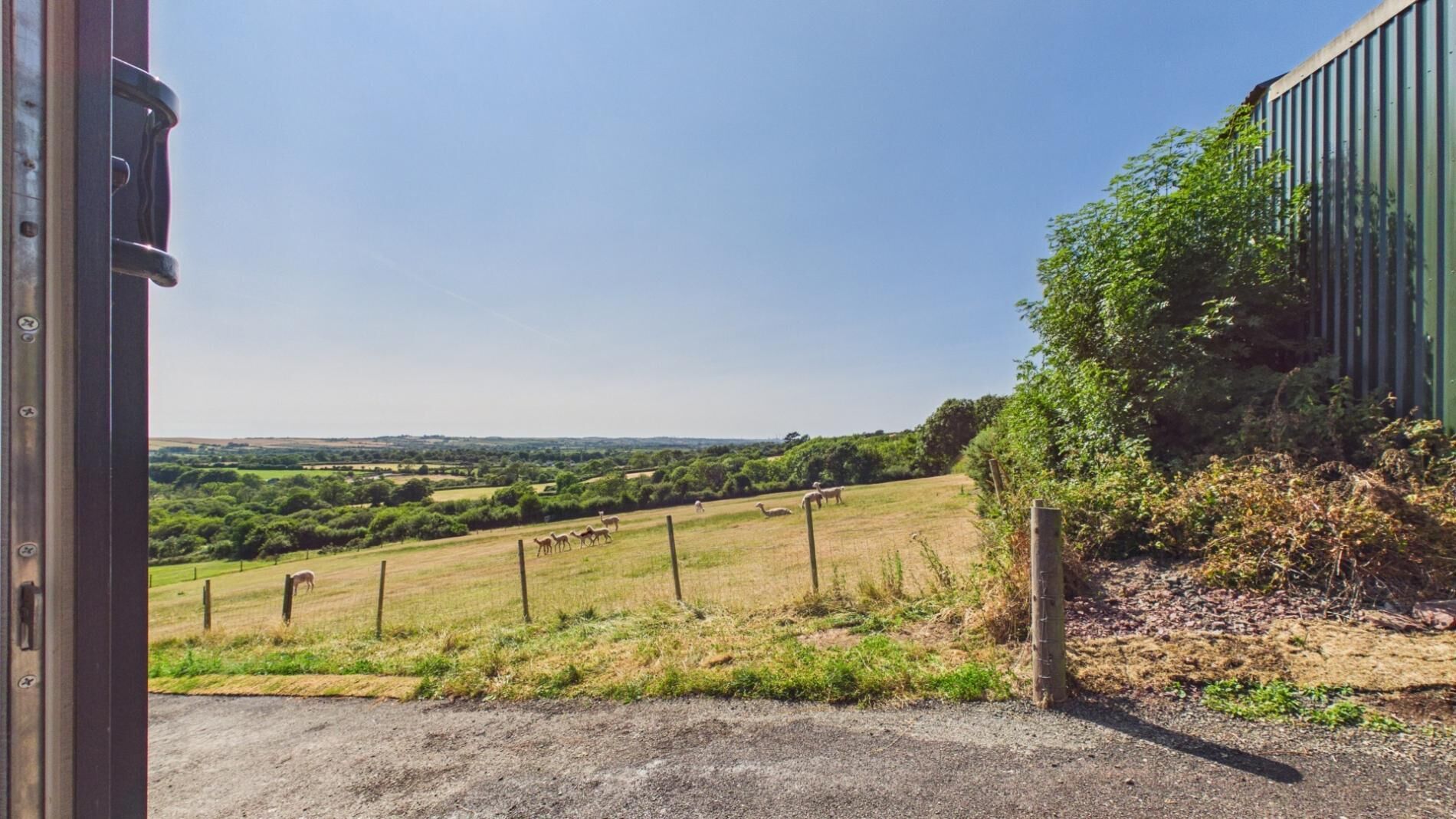 A rural landscape with a fence, greenery, and a clear sky.