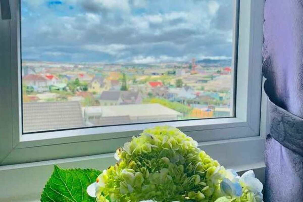 Una ventana con vistas a un pueblo, una planta en maceta con hojas verdes y una cortina morada.