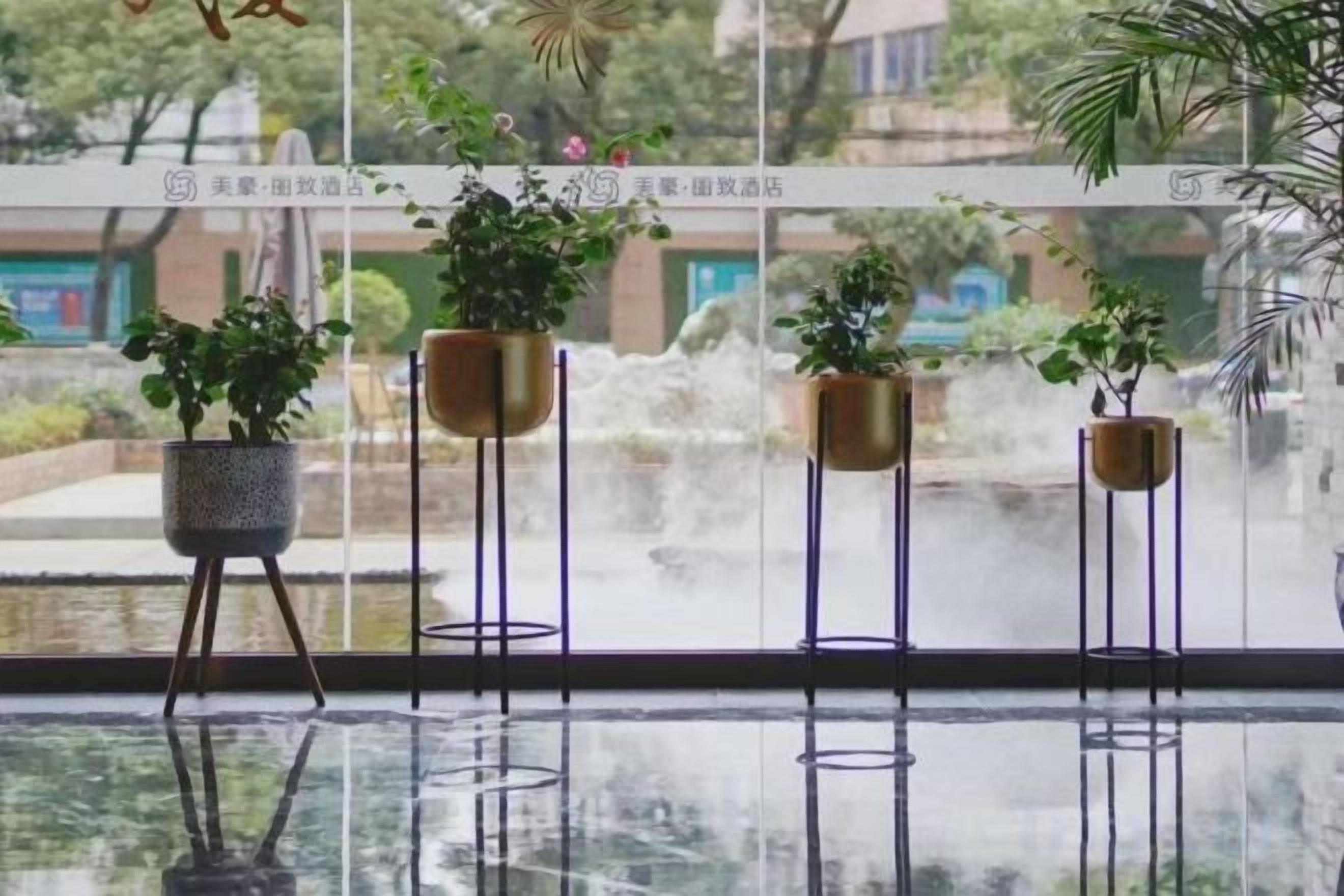 Una ventana con cuatro plantas en macetas sobre pedestales metálicos, un suelo reflectante y vistas a un edificio y árboles.