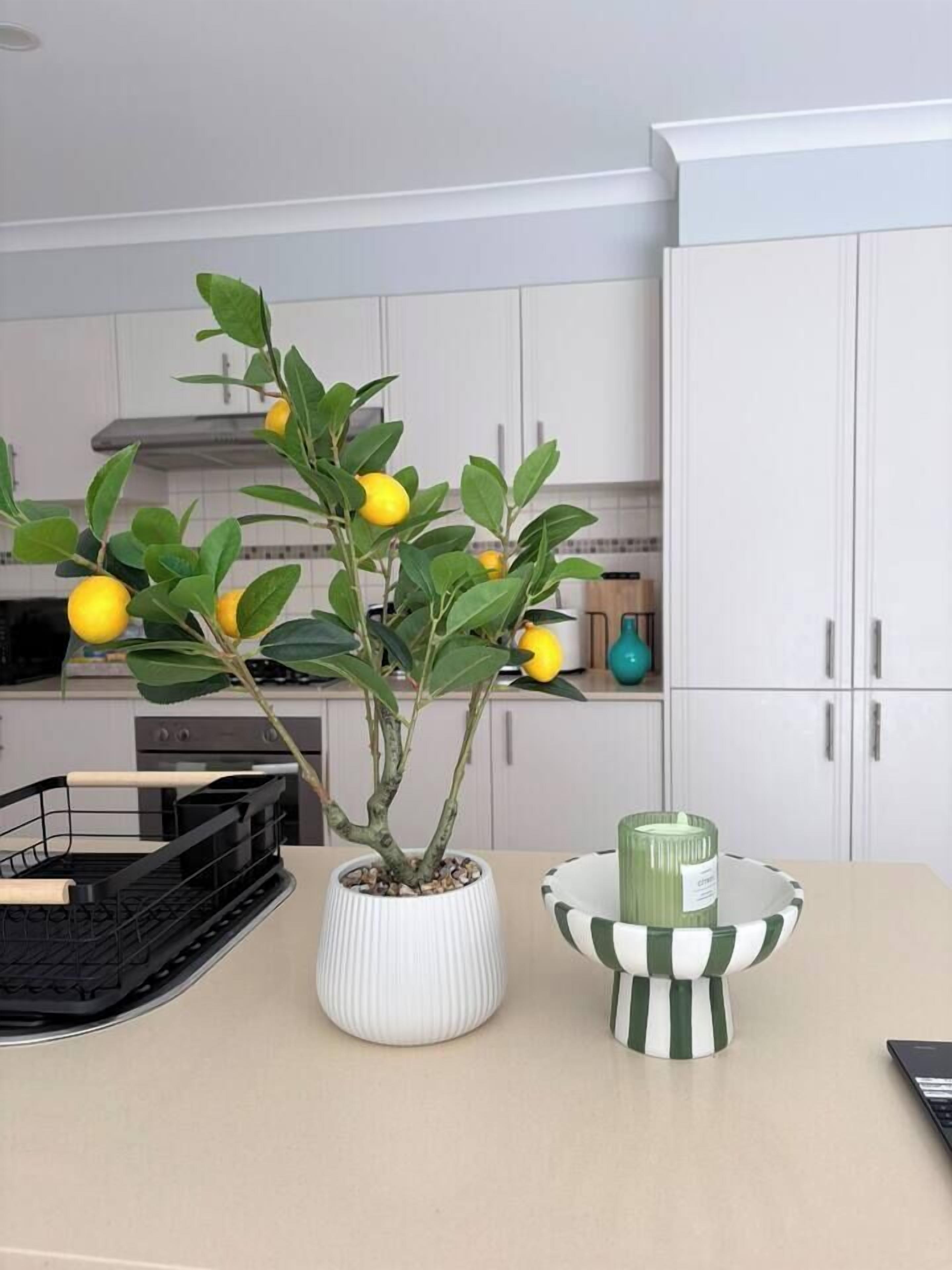 A kitchen with a potted lemon tree, a striped bowl, and a black tray.