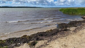 Eine natürliche Landschaft mit einem Gewässer, einem Sandstrand und einer Wiese.