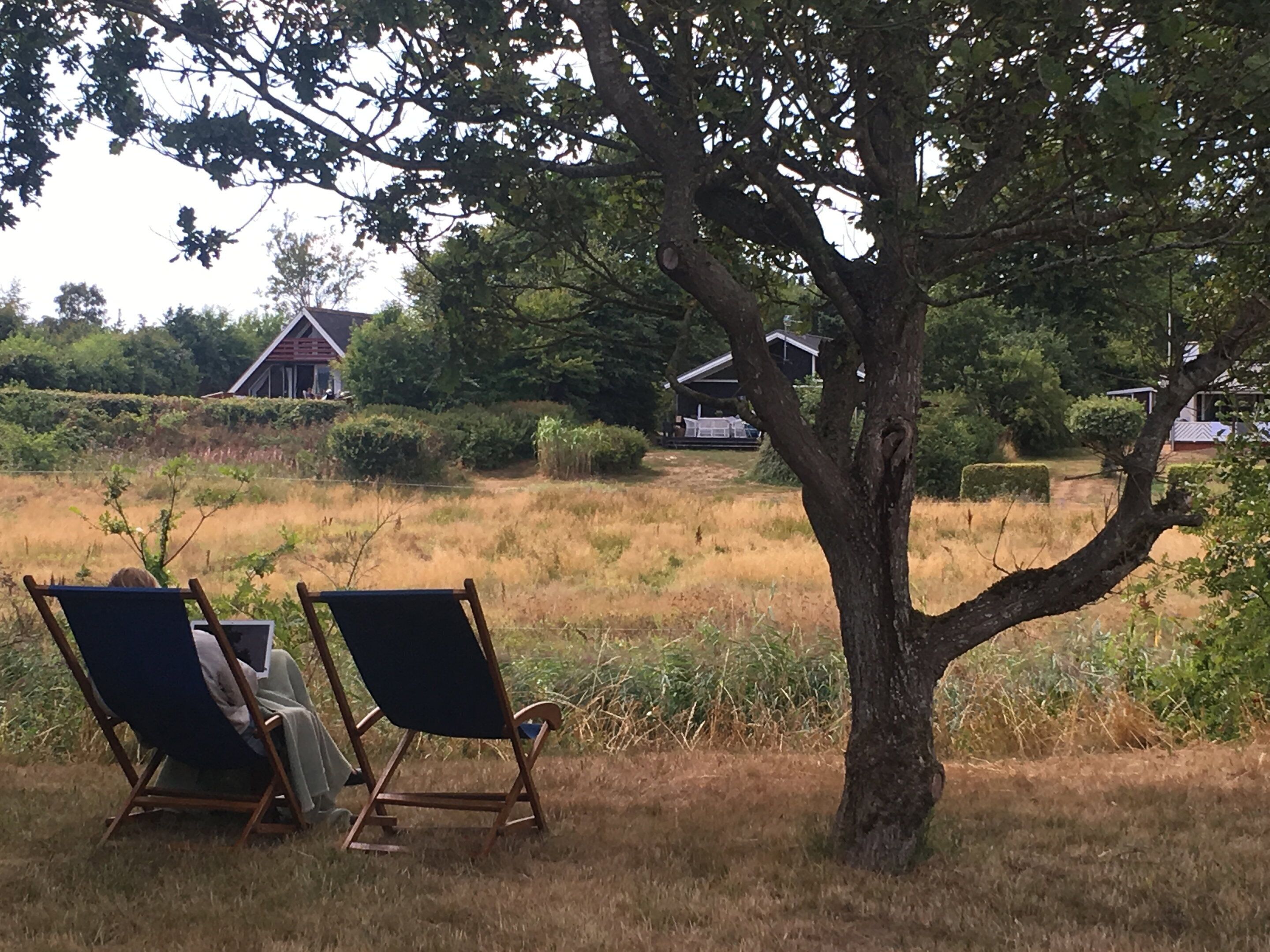 Twee stoelen buiten onder een boom in een grasveld, met huizen op de achtergrond.