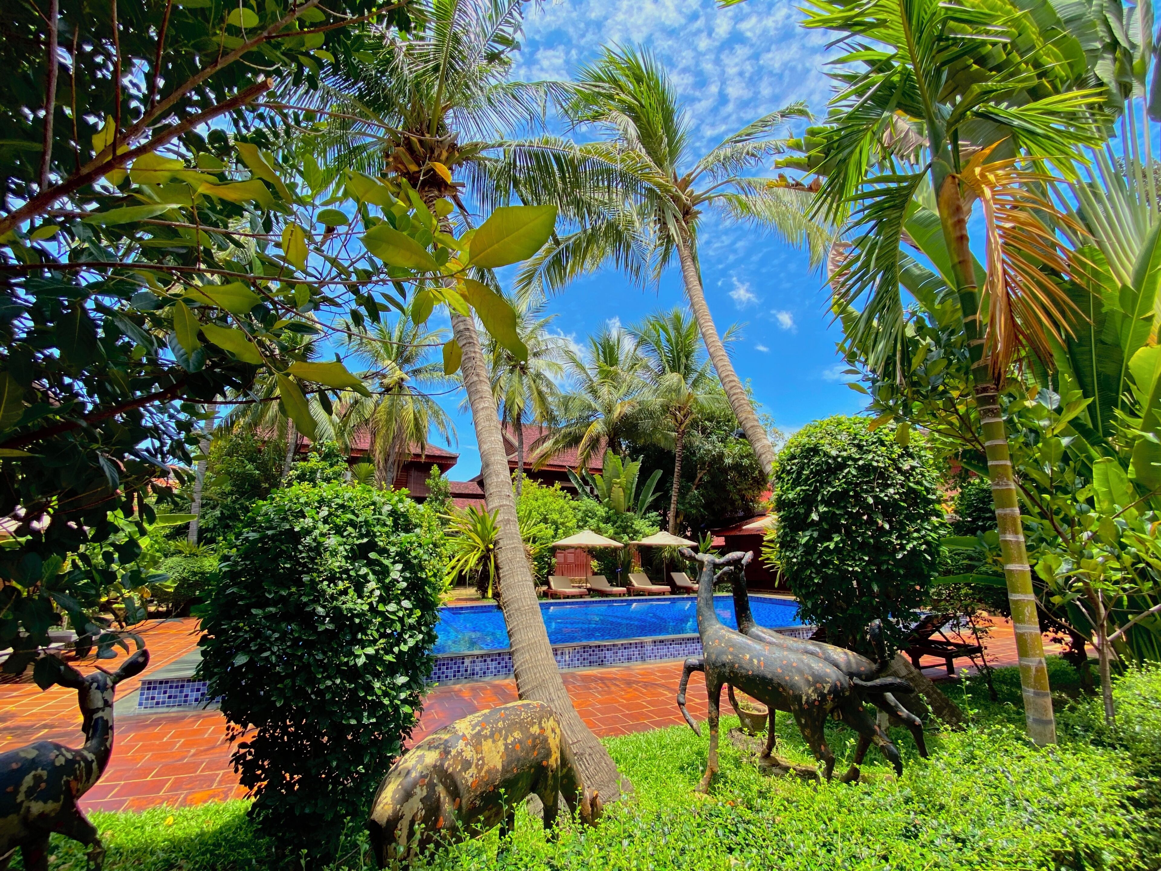 Alberca al aire libre 
