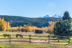 Miscellaneous - Creekside Escape • Private Fly Fishing Dock with Badge • Near Aspen with Views (Carbondale)