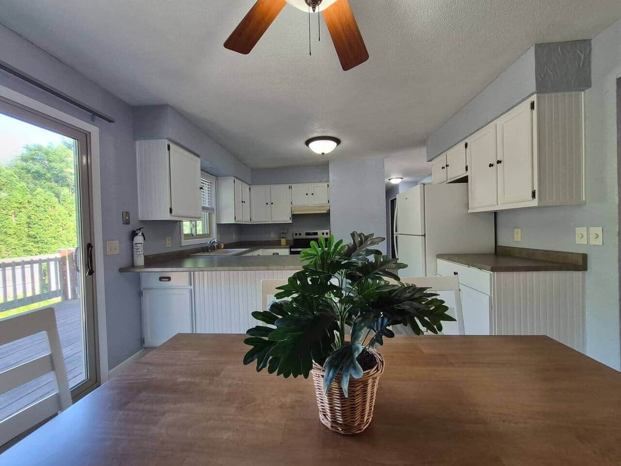 A kitchen with white cabinets, a wooden table, and a potted plant.