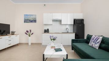 Eine moderne Wohnung mit Küche, Essbereich und Wohnzimmer.