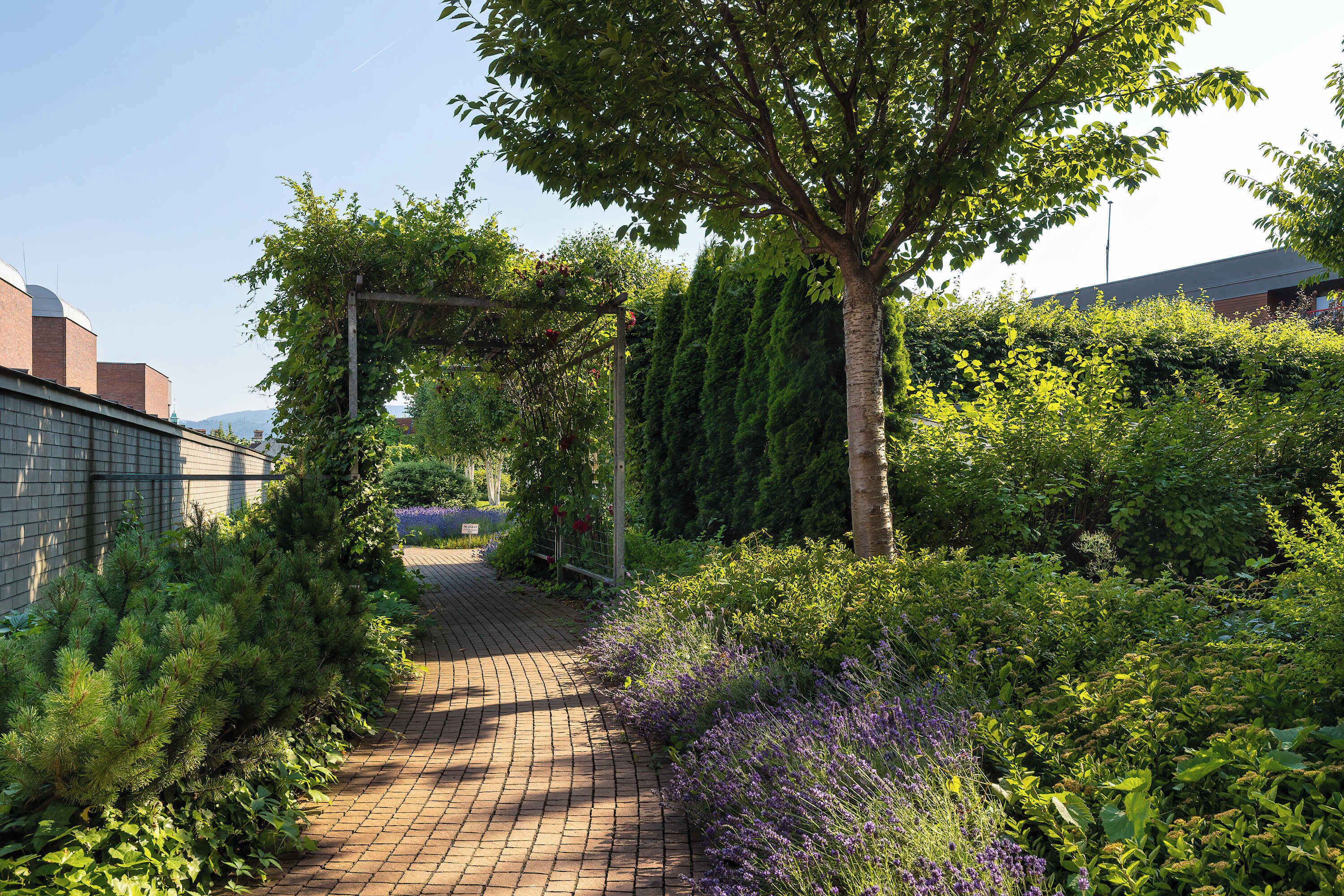 Een pad van bakstenen dat door een weelderige tuin leidt, met een pergola begroeid met klimplanten.