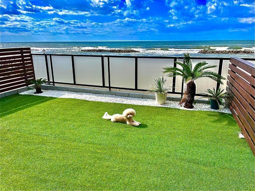 Apartment, 1 Bedroom, Ocean View, Beachfront | Property grounds