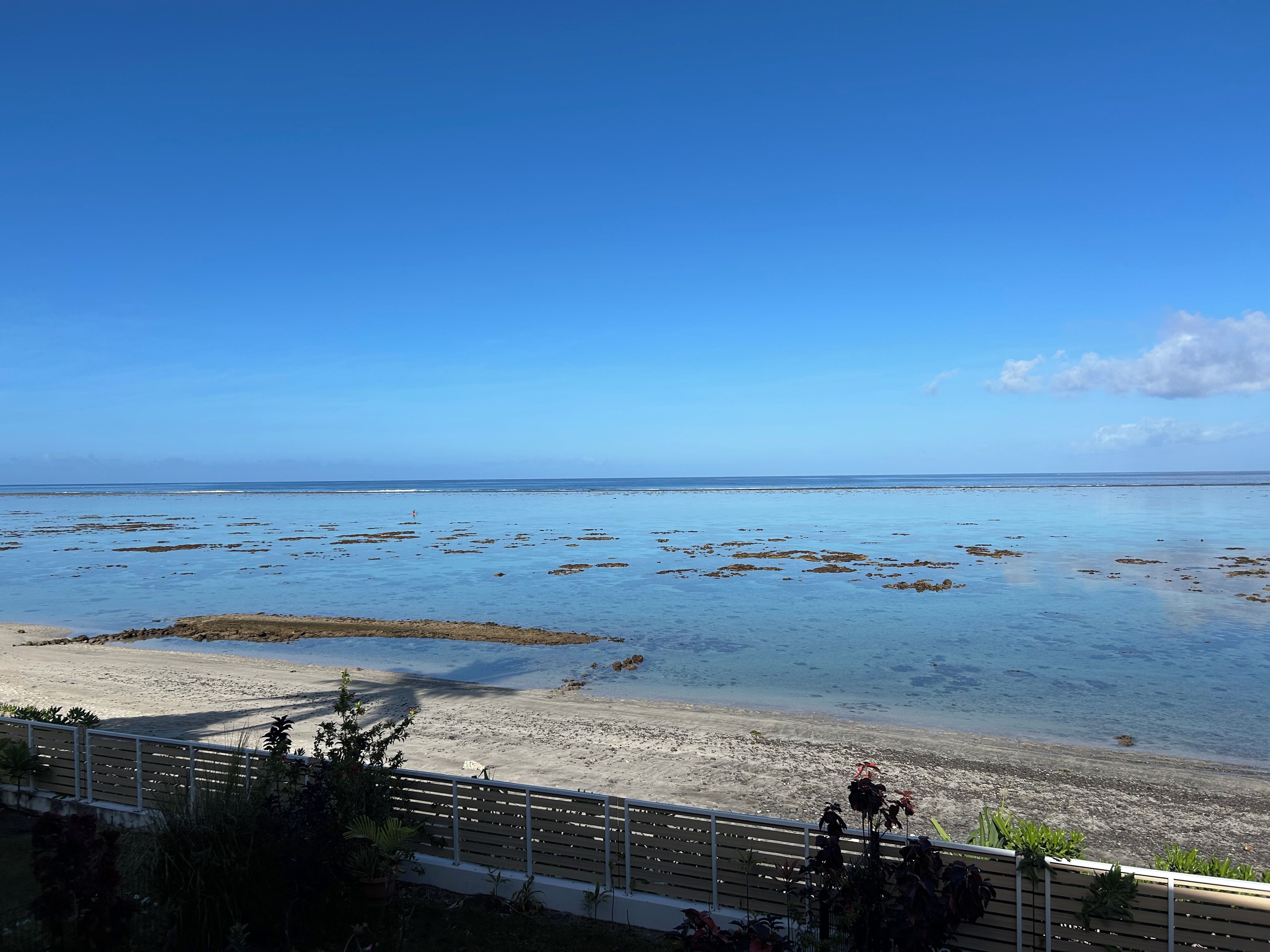 Een strand met een heldere lucht, een zandvlakte en een waterlichaam.