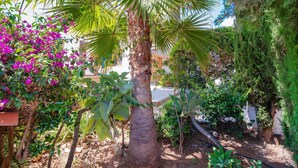 Un jardín con palmera, buganvillas y varios arbustos.