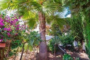 Ein Garten mit einer Palme, Bougainvillea und verschiedenen Sträuchern.