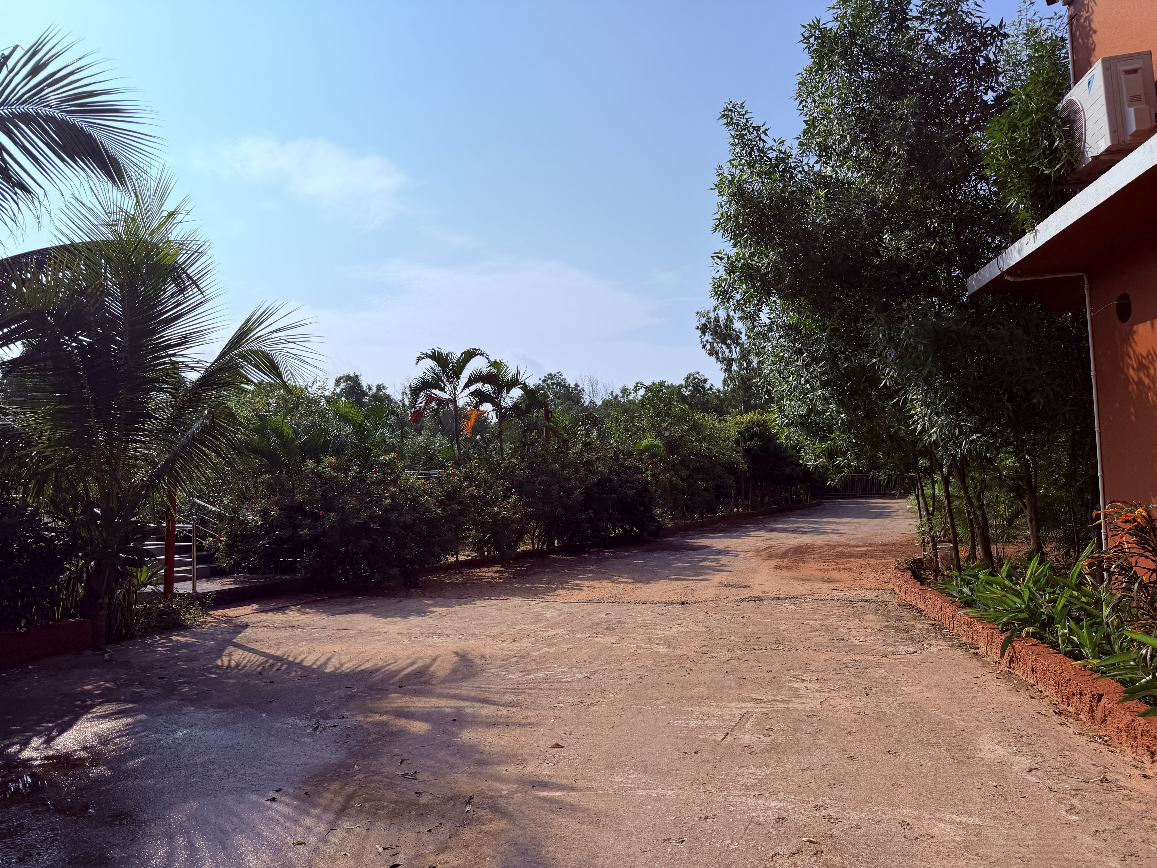 A dirt road flanked by dense vegetation and a building with a red exterior.