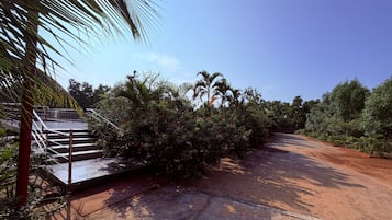 A paved pathway leading to a building with a staircase.