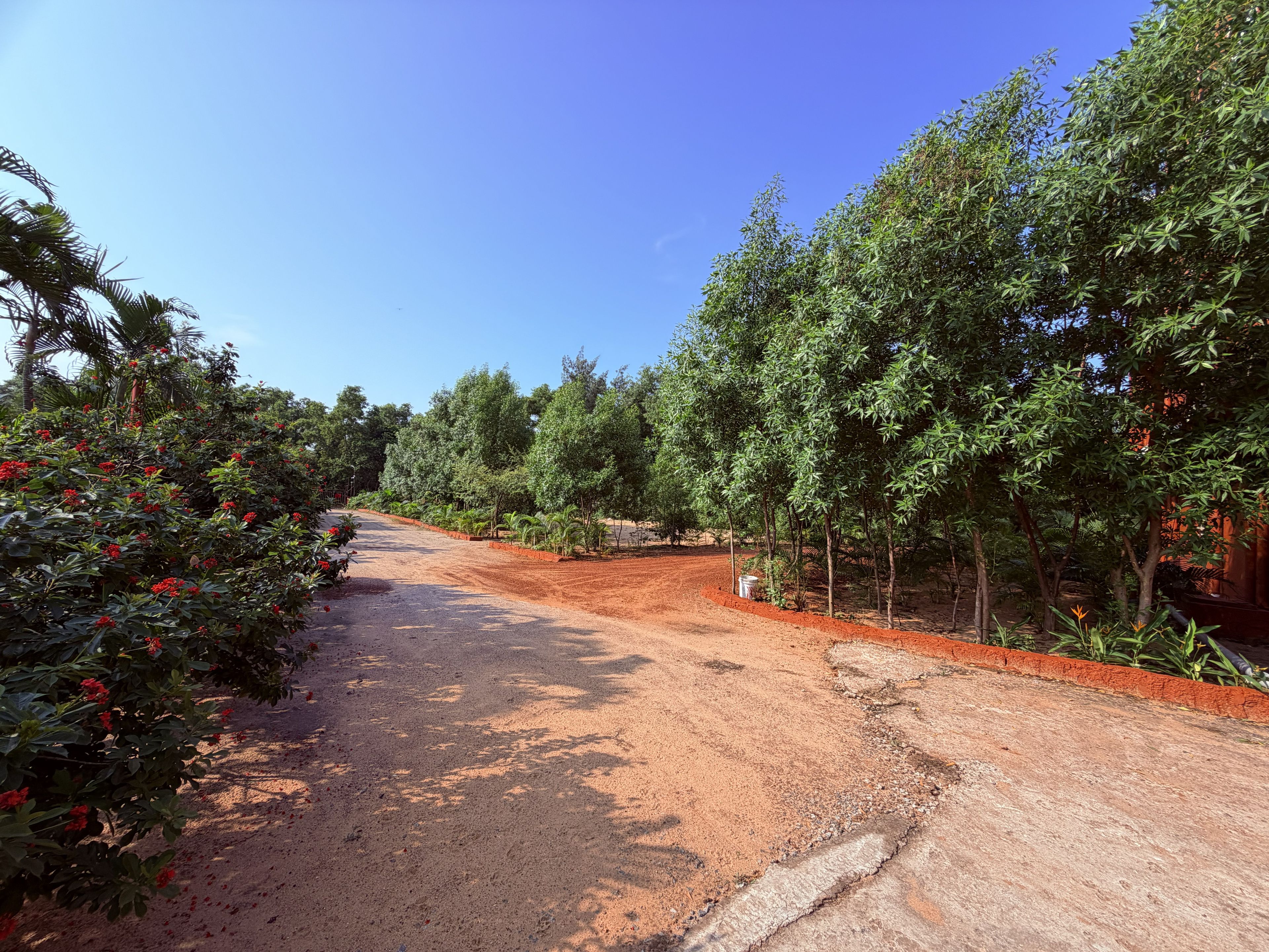Un sentier de terre bordé d’une végétation luxuriante et d’arbres, qui mène à un bâtiment doté d’un toit rouge.