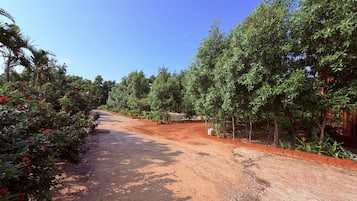 Un sentier de terre bordé d’une végétation luxuriante et d’arbres, qui mène à un bâtiment doté d’un toit rouge.