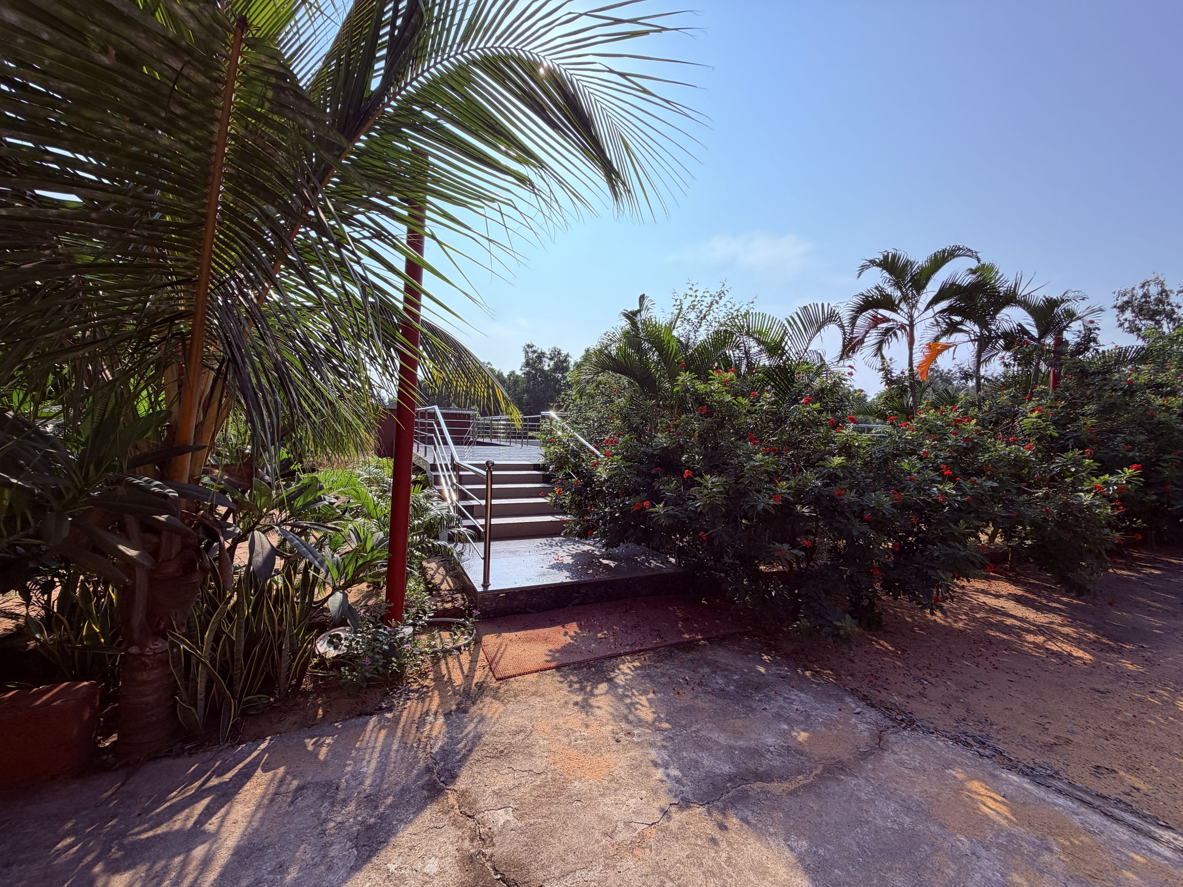 Un sendero de concreto que lleva a una escalera rodeada de abundante vegetación y palmeras.