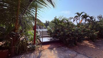 Un sendero de concreto que lleva a una escalera rodeada de abundante vegetación y palmeras.
