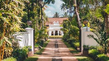 A pathway leading to a building with a white facade and columns, surrounded by lush greenery.