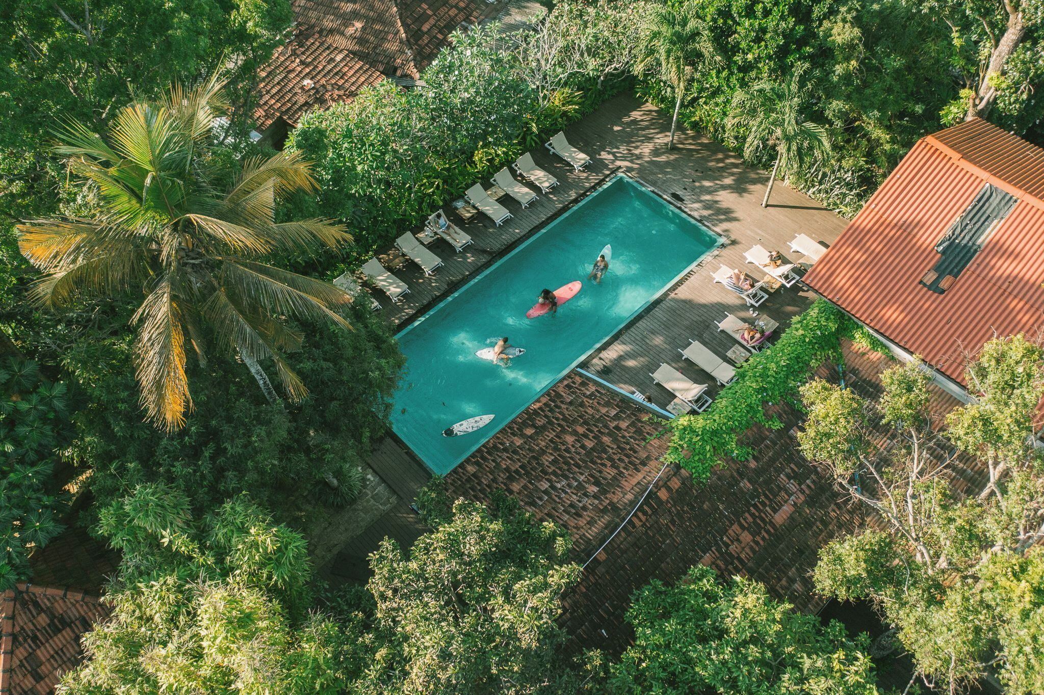 An aerial view of a pool area with lounge chairs and a swimming pool surrounded by lush greenery.