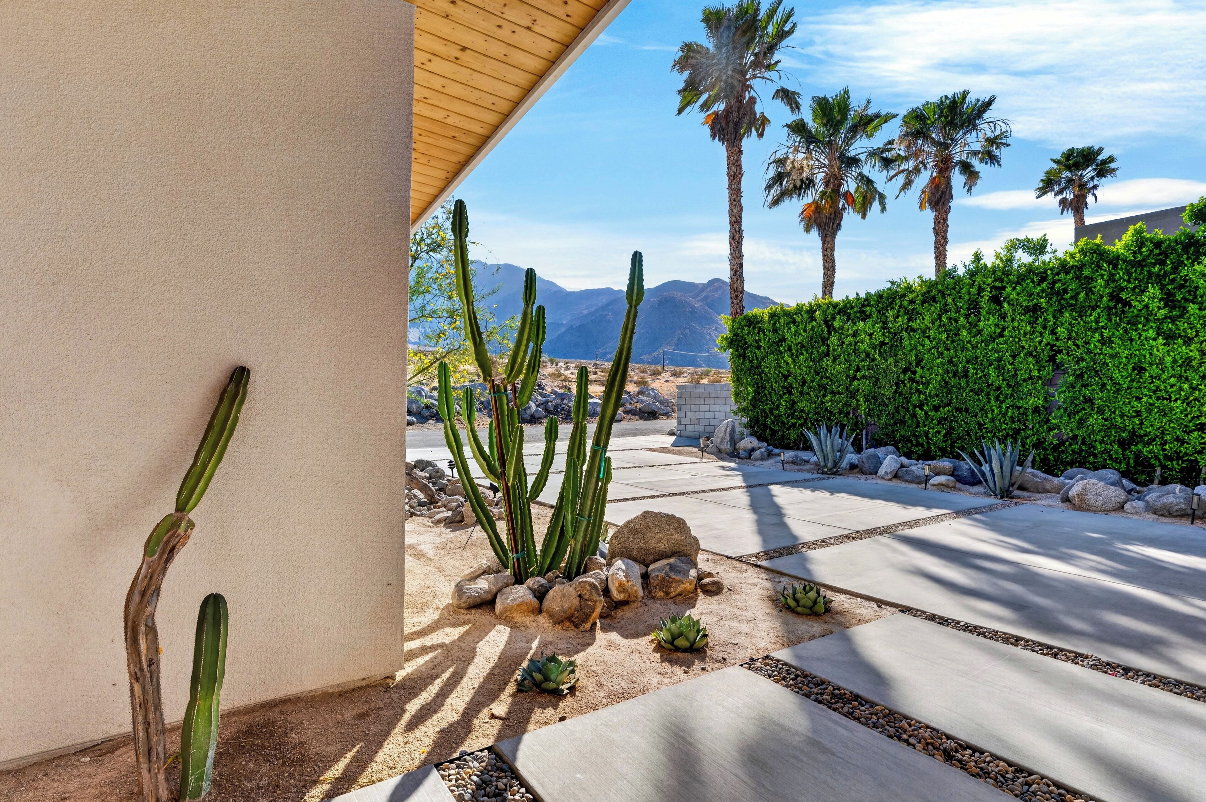 Paisaje desértico con cactus, un camino pavimentado y un seto.