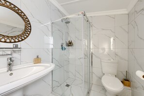 A bathroom with a glass-enclosed shower, a white sink, and a toilet. - Stylish Woodstock Home, 2 bedrooms, 2 baths · Courtyard (City of Cape Town Metropolitan Municipality)