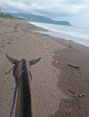 A beach with a horse's head in the foreground, a sandy shore, and a distant view of a forested hill. - Amazing oceanfront with access Crocs Resort (Jacó)
