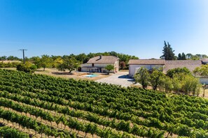 A vineyard with rows of grapevines, a house with a tiled roof, and a swimming pool. - Château Haut Cazevert Guesthouse with Private Pool, Wi-Fi, and Air Conditioning (Blasimon)