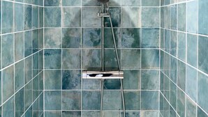 Shower, hair dryer, towels