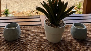 A balcony with a view of a forested area, a pathway, and a potted plant.