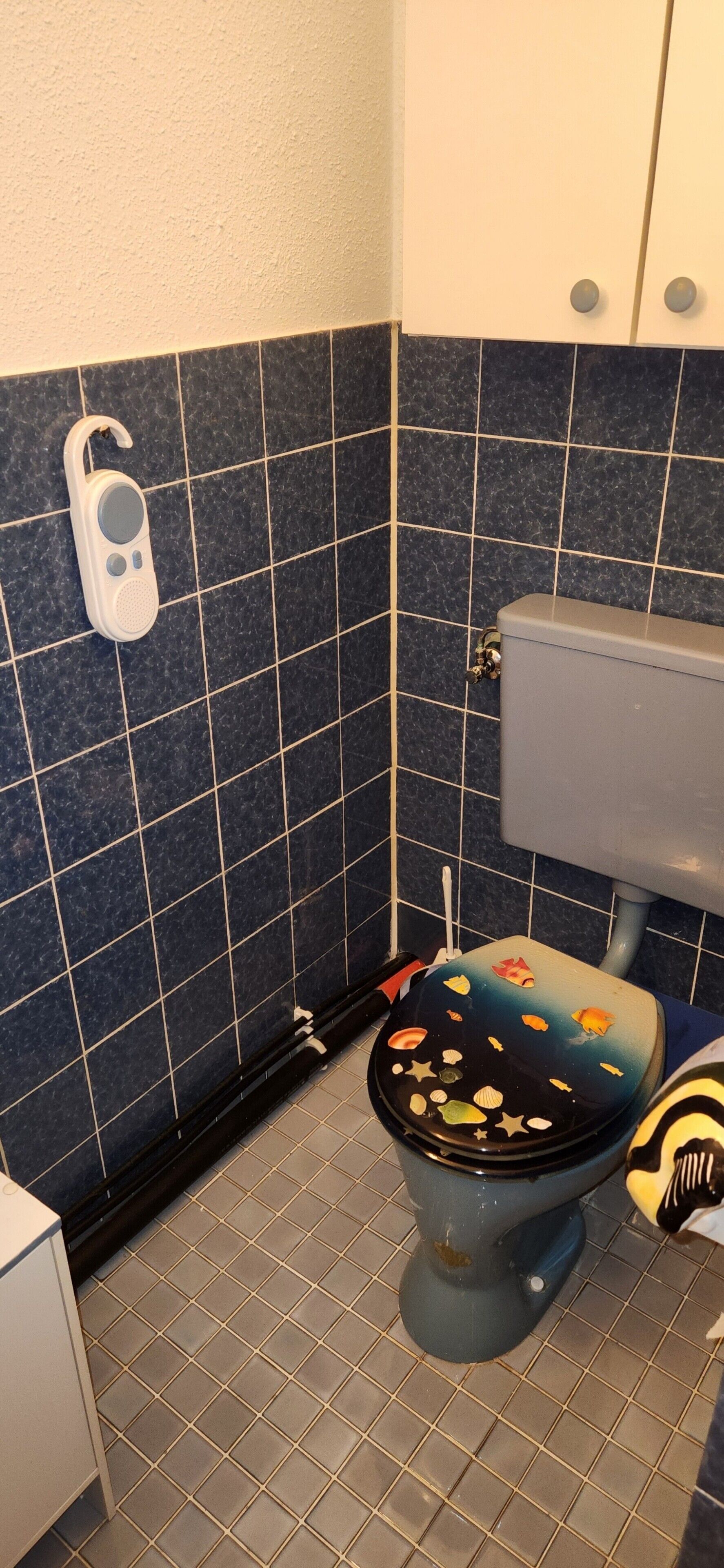 Dusche, Haartrockner