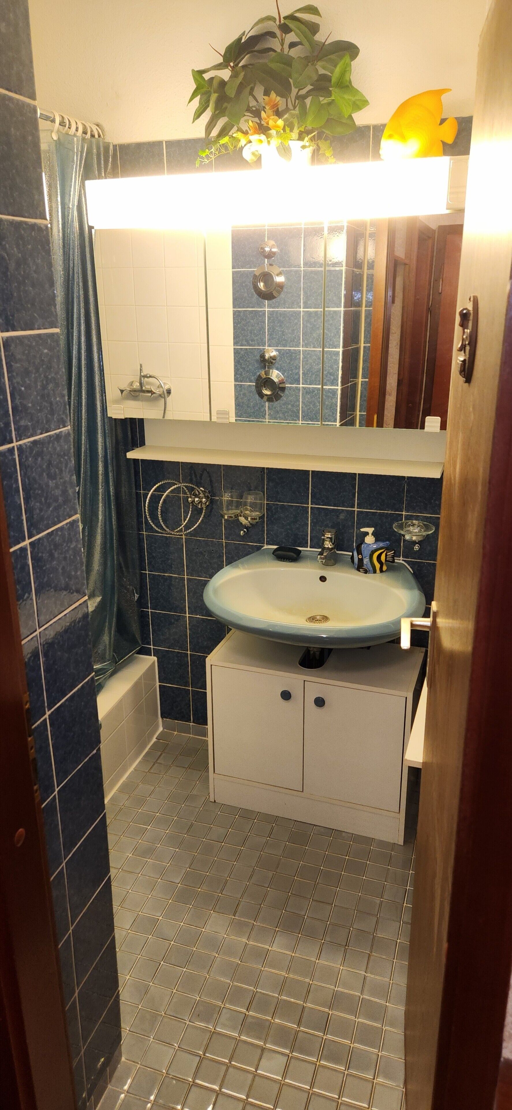 Dusche, Haartrockner