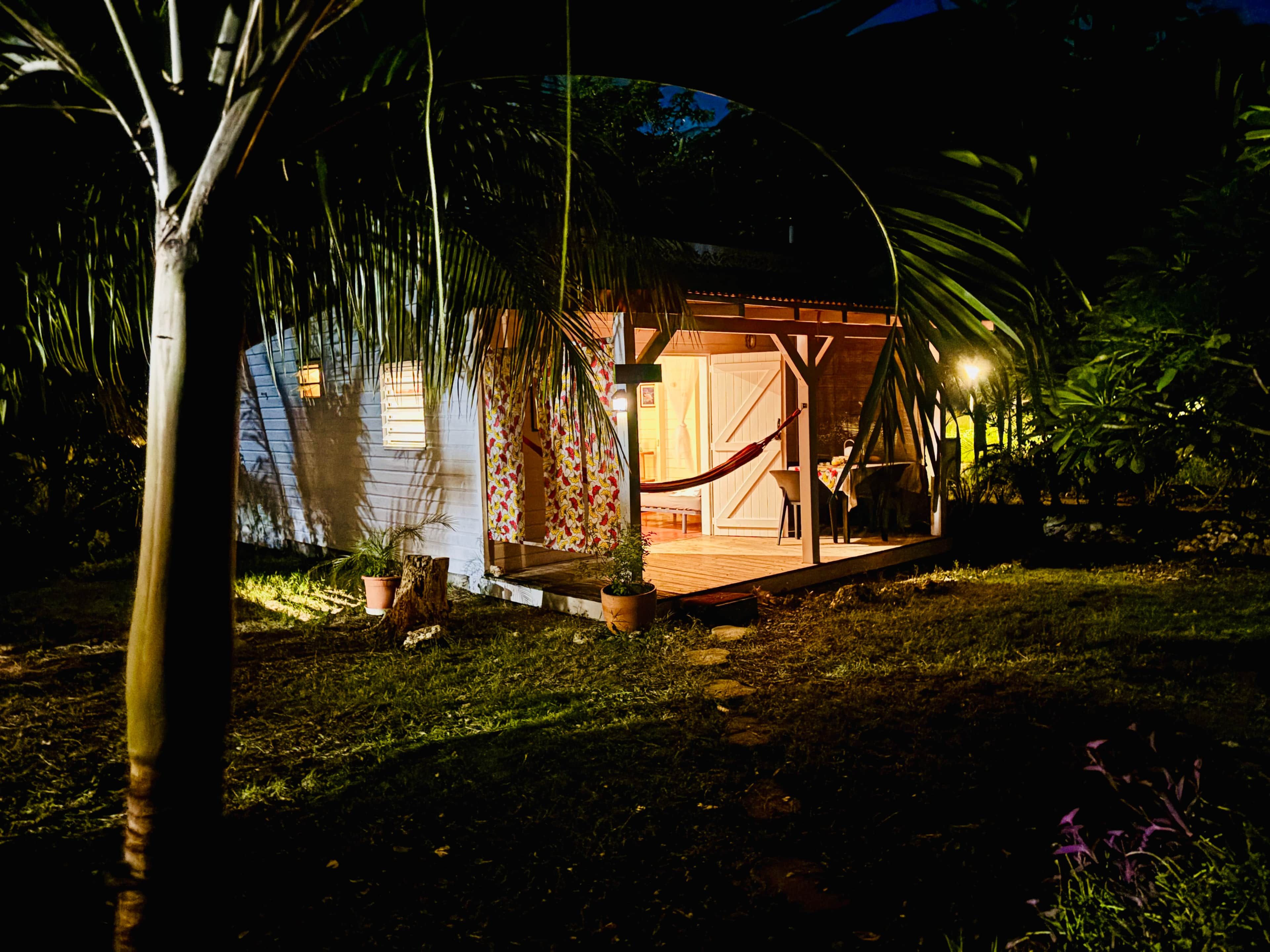 Photo nuit Papaya