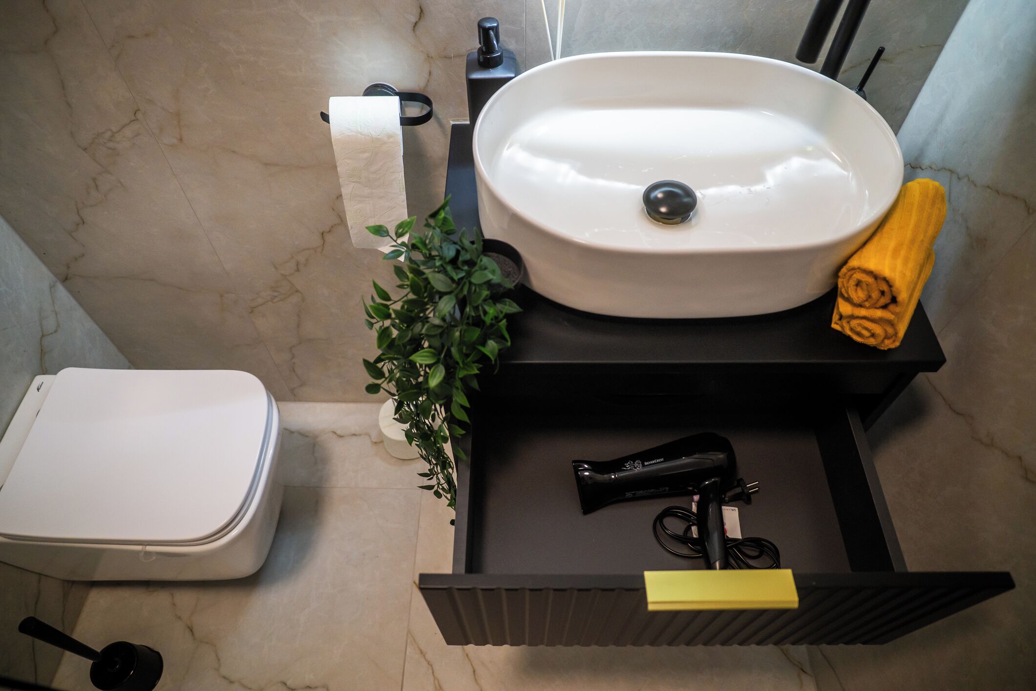 A bathroom with a toilet, sink, and a small plant.