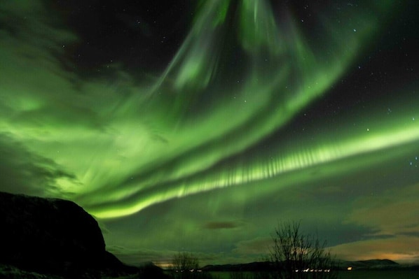 En natthimmel med grönt norrsken.