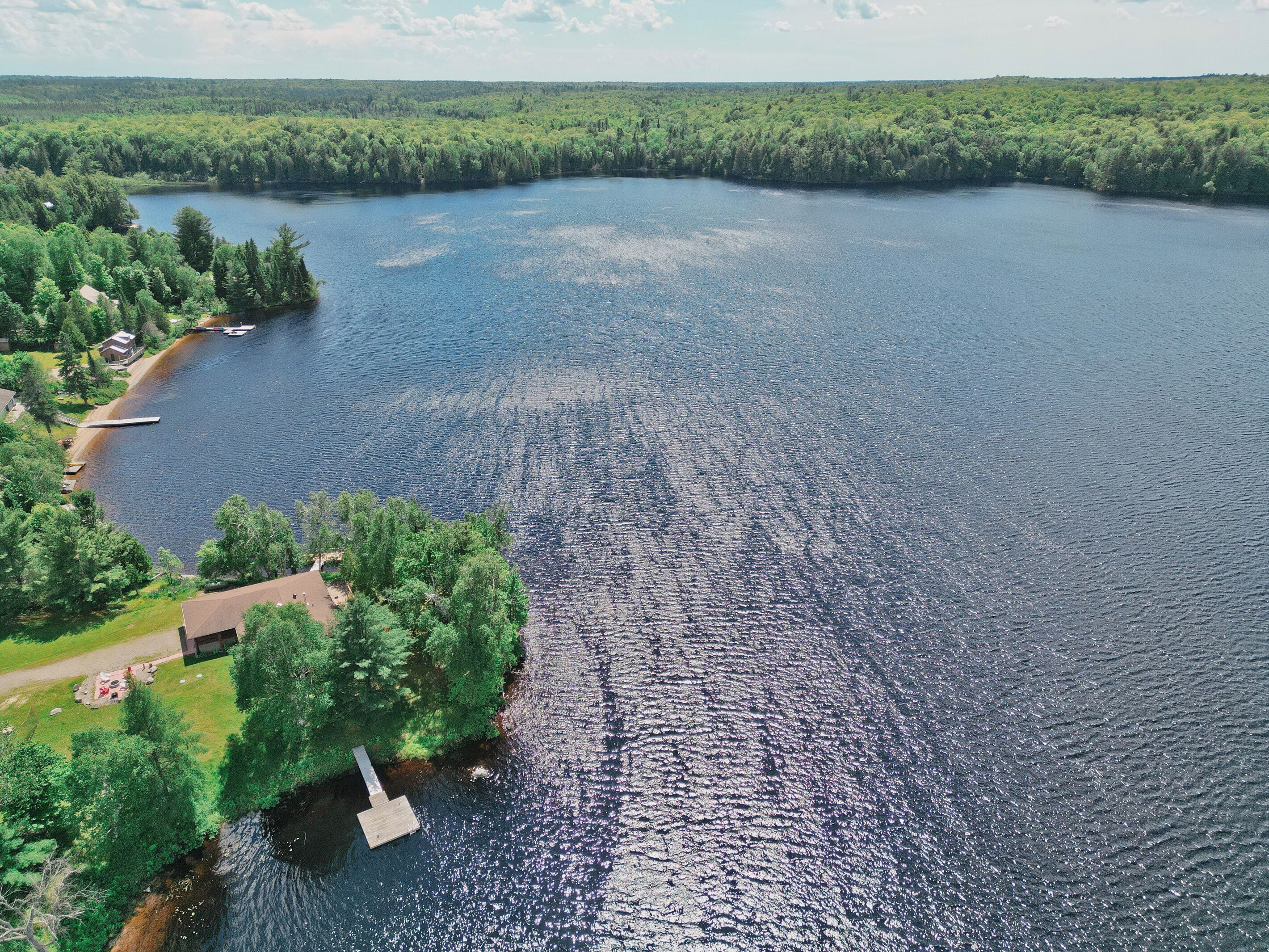 A large body of water with a dock extending into it, surrounded by dense greenery and a few buildings.