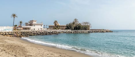 Une propriété située en bord de mer, comprenant un bâtiment, des palmiers et une digue rocheuse.