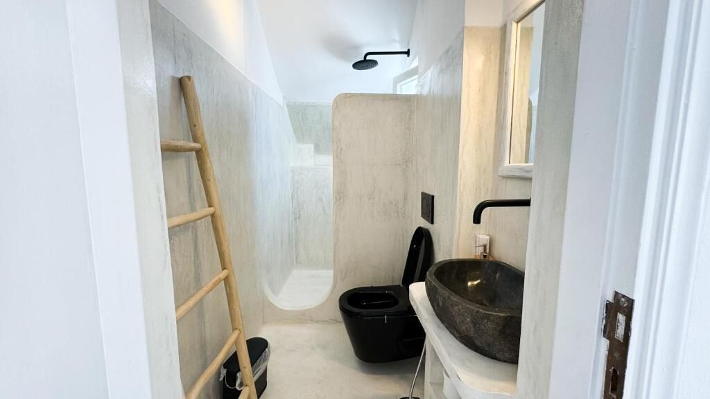 A narrow bathroom with a wooden ladder, a black toilet, and a large basin.