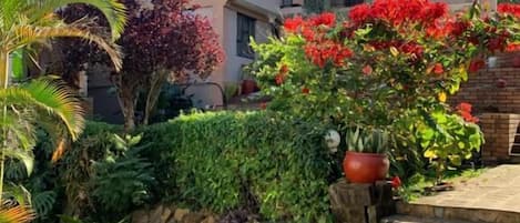 A residential area with a paved pathway, a brick bench, and a variety of plants including a flowering bush.
