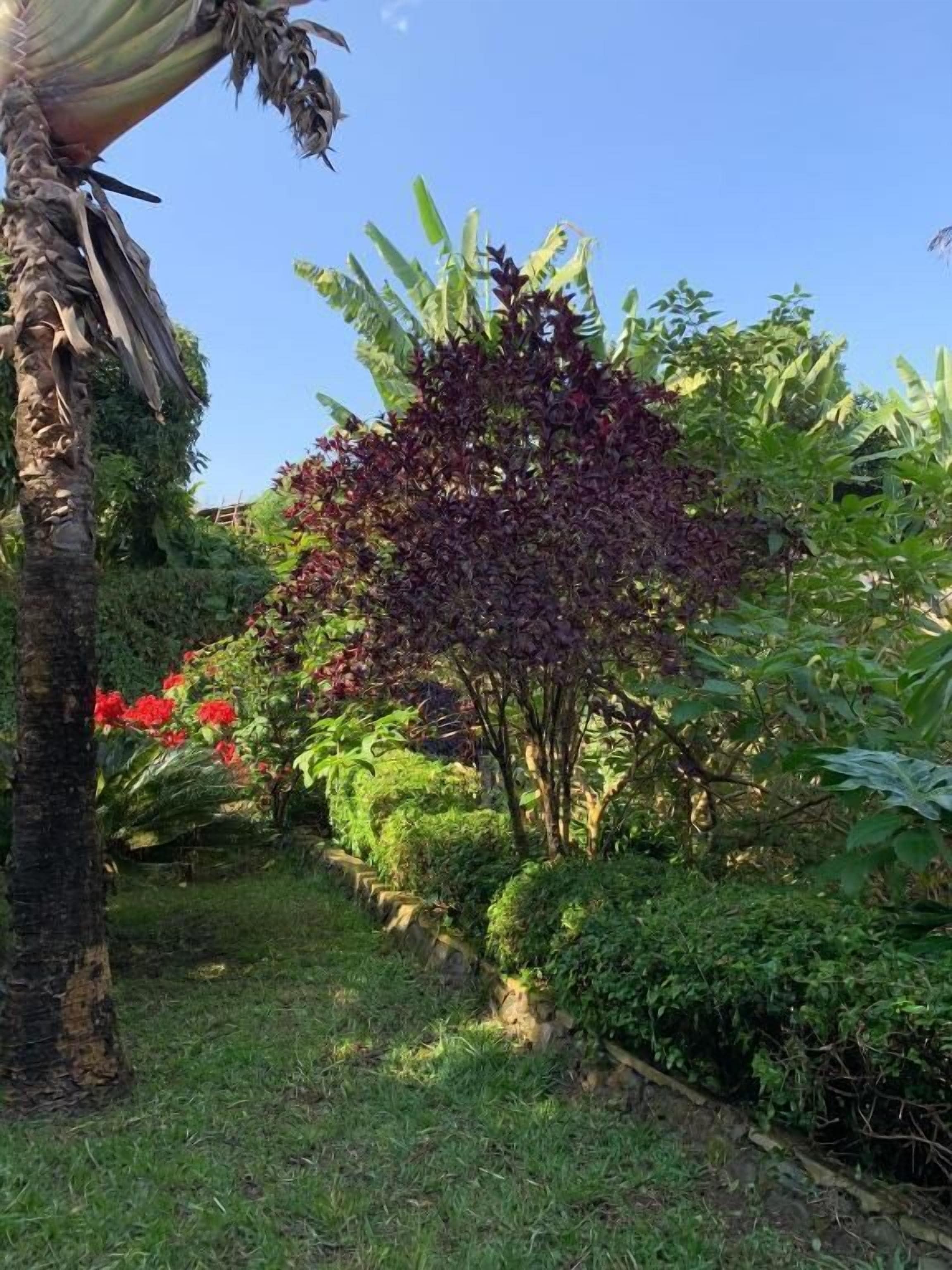 Apartamento | Jardines del alojamiento