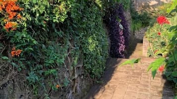 A stone pathway leading through a garden with various plants and flowers.