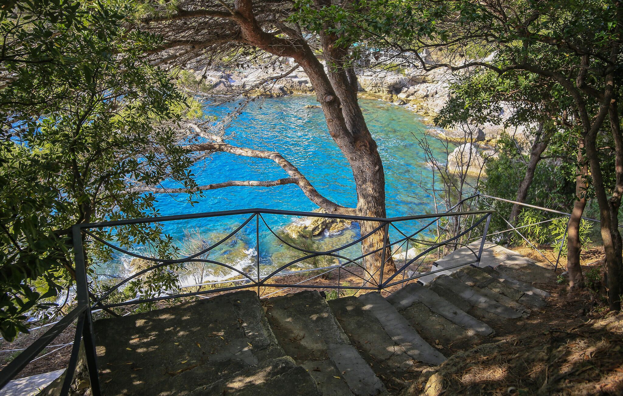 Un escalier menant à un point de vue surplombant une étendue d’eau d’un bleu limpide, entourée d’arbres et bordée d’une rambarde en métal.