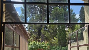 Un patio al aire libre con vistas a árboles y una puerta de madera.
